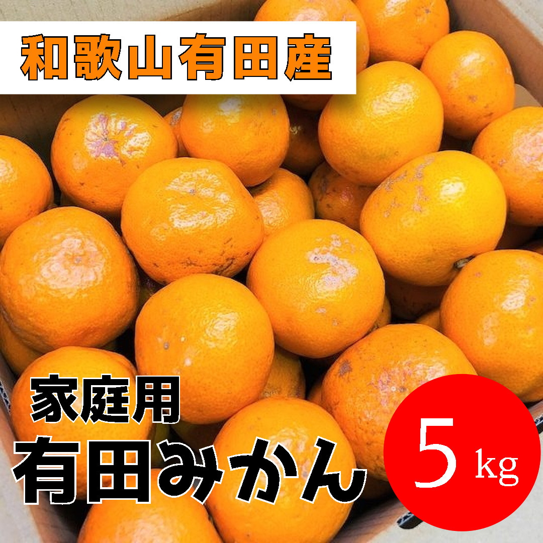 家庭用&nbsp;有田みかん&nbsp;5kg&nbsp;(約46個～51個)