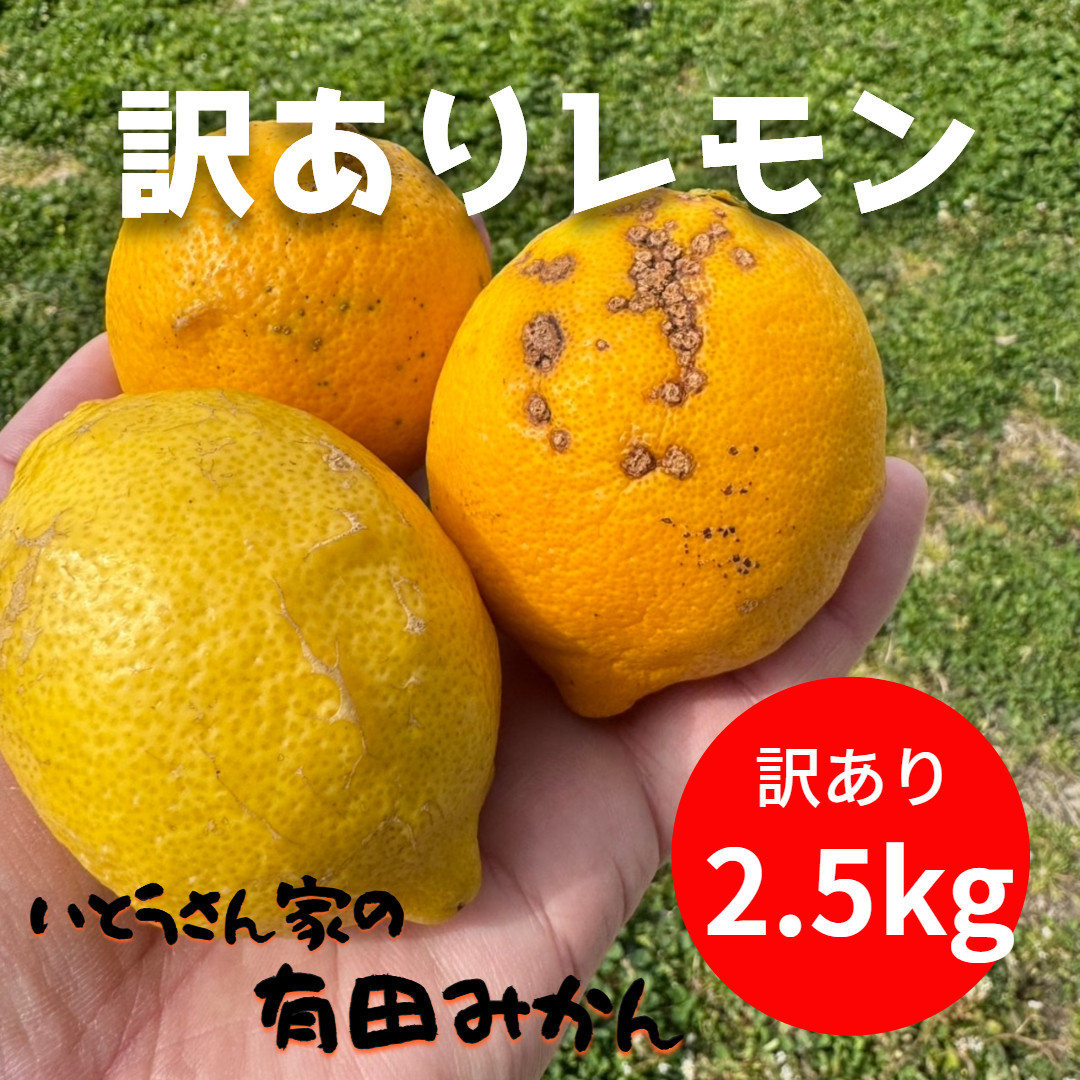 訳あり&nbsp;国産&nbsp;レモン&nbsp;2.5kg&nbsp;(14~22玉)