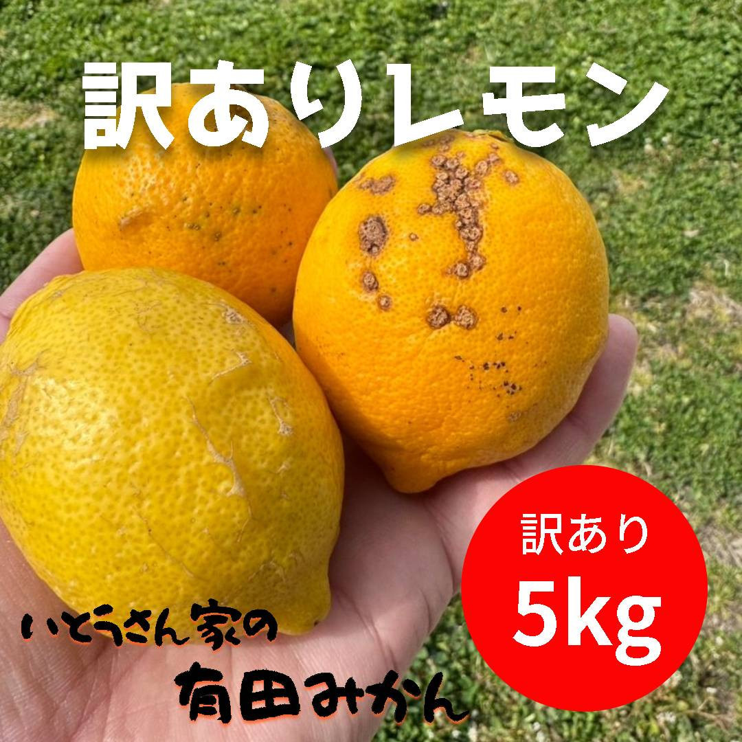訳あり&nbsp;国産&nbsp;レモン&nbsp;5kg&nbsp;(32~40玉)