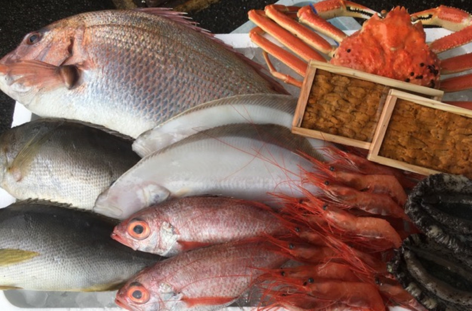 ＜定期便＞『境港の全部を食す』旬のお魚宅配便(全4回)