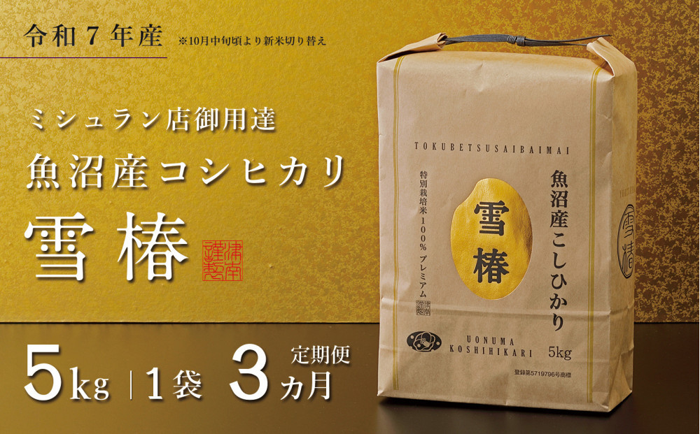【定期便&nbsp;3ヶ月】【令和7年産】魚沼産コシヒカリ&nbsp;雪椿&nbsp;5kg(5kg×1袋)&nbsp;×&nbsp;3回&nbsp;特別栽培米