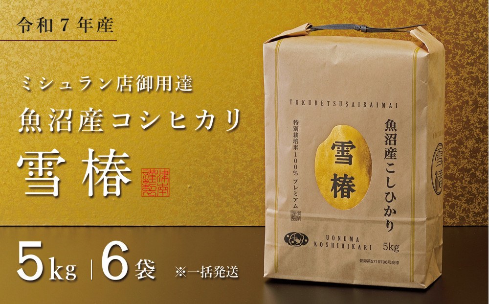【令和7年産】魚沼産コシヒカリ&nbsp;雪椿&nbsp;30kg&nbsp;(5kg×6袋)&nbsp;特別栽培米　※一括発送