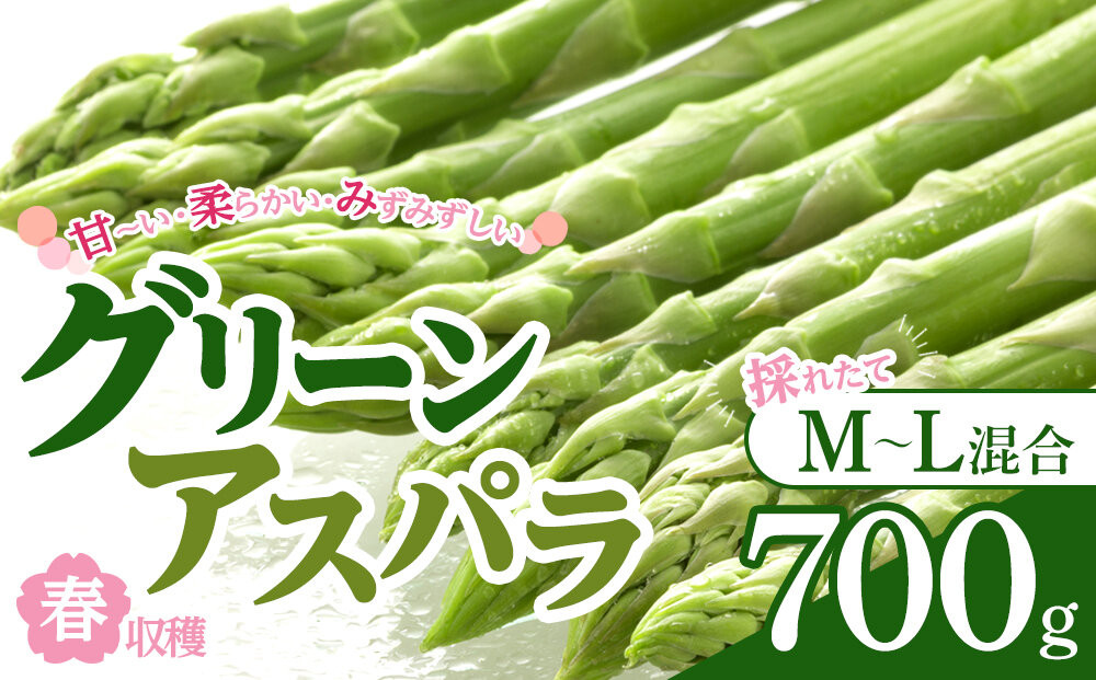 【先行予約】春収穫グリーンアスパラ&nbsp;M-L混合700g(2026年6月上旬から順次発送開始予定)_05687