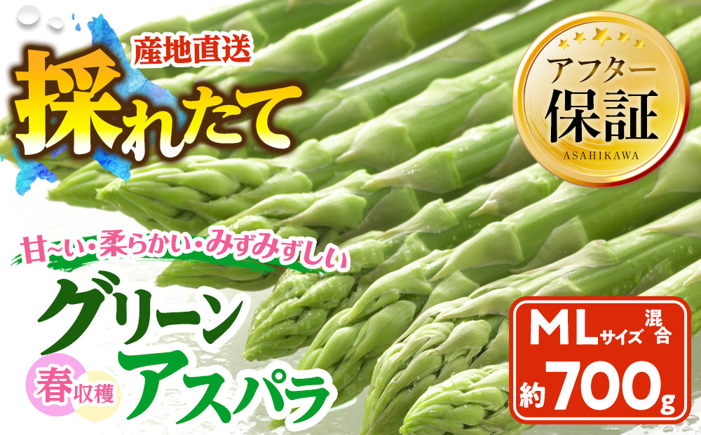 春収穫グリーンアスパラ&nbsp;M-L混合700g(2026年6月上旬から順次発送開始予定)_05687