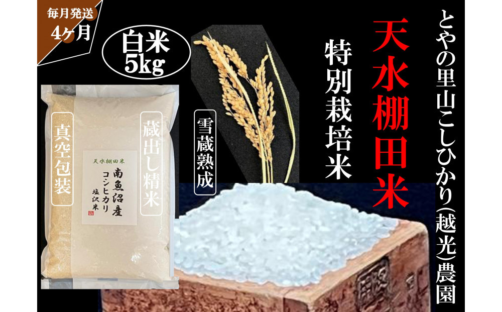 定期便「とやの里山継承プロジェクト対象」【天水棚田米】南魚沼塩沢産コシヒカリ　精米5kg全4回