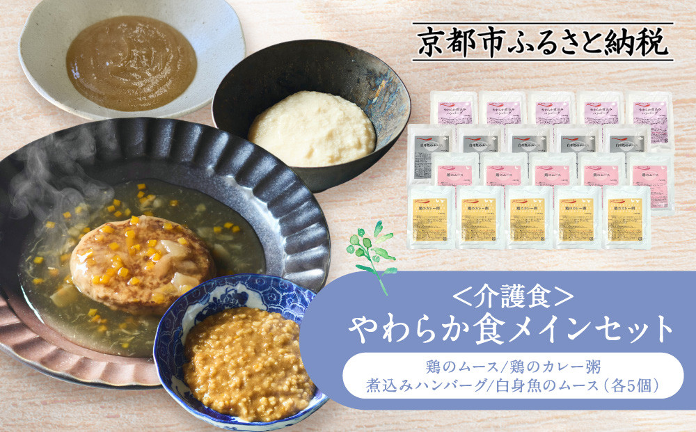介護食&nbsp;やわらか食&nbsp;メインセット&nbsp;鶏のムース/鶏のカレー粥/煮込みハンバーグ/白身魚のムース&nbsp;各5個｜レトルト&nbsp;介護食品［&nbsp;京都&nbsp;レトルト食品メーカー&nbsp;人気&nbsp;おすすめ&nbsp;レトルト&nbsp;食事介助&nbsp;非常食&nbsp;保存食&nbsp;グルメ&nbsp;お取り寄せ&nbsp;通販&nbsp;送料無料&nbsp;ふるさと納税&nbsp;］