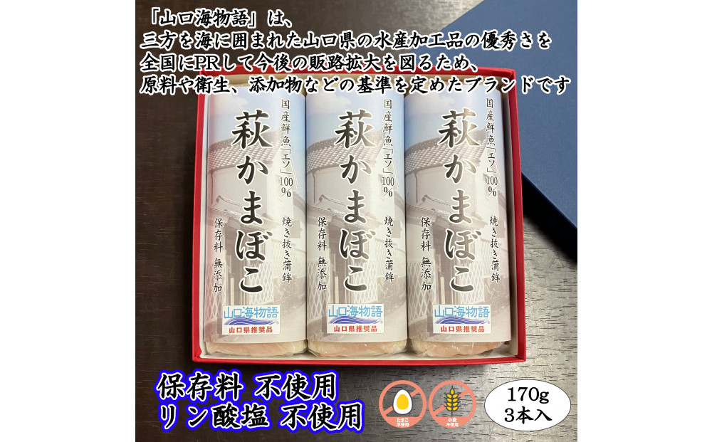 【保存料・リン酸塩&nbsp;不使用】エソ100％焼き抜き蒲鉾「萩かまぼこ」3本【化粧箱入】