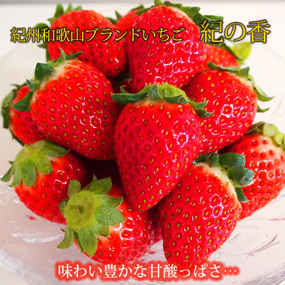 紀州和歌山ブランドいちご「紀の香」約250g×4P&nbsp;［UT143］