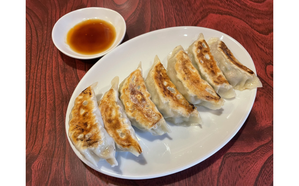 野菜餃子&nbsp;45個【配送不可：沖縄県・離島】