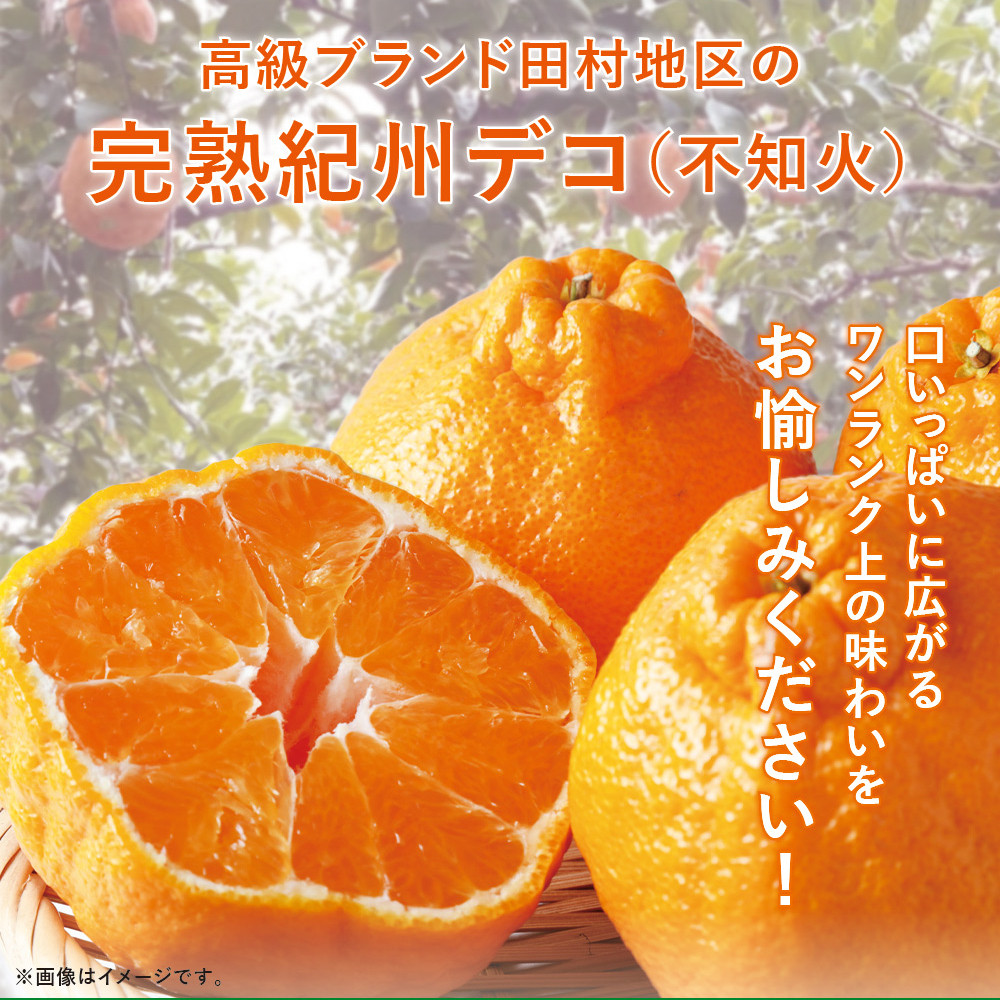 高級ブランド田村の完熟紀州デコ（不知火）約8kg