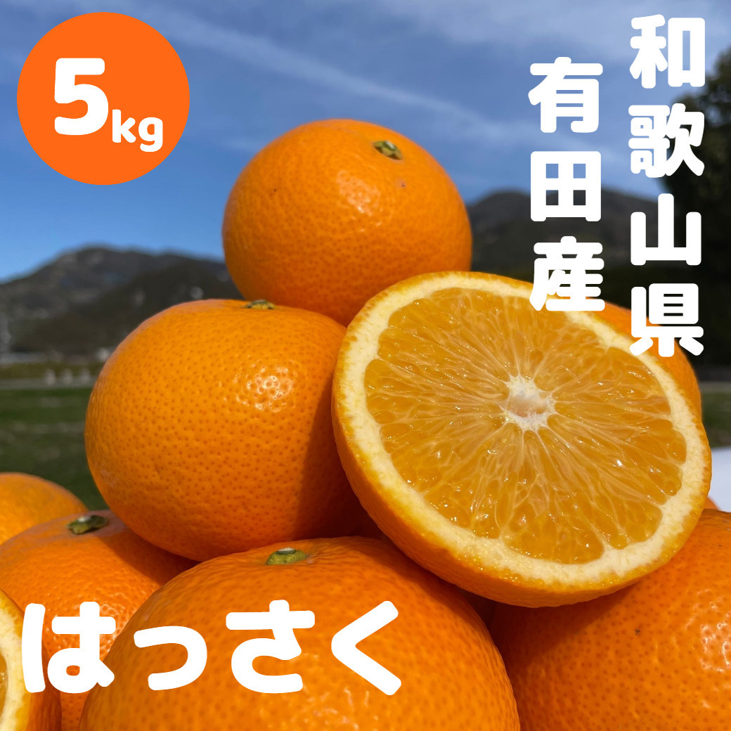 和歌山&nbsp;有田&nbsp;はっさく&nbsp;5kg