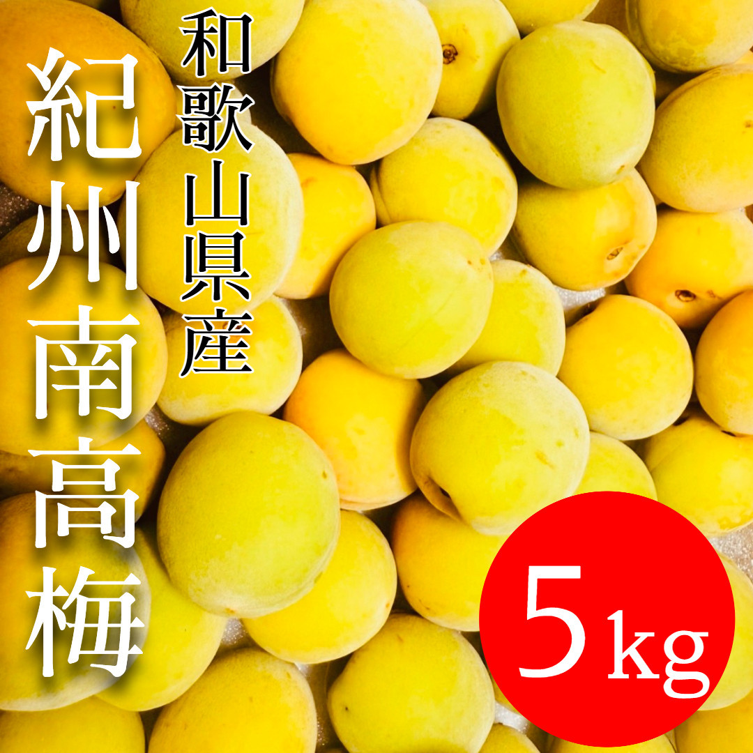 黄色～完熟梅&nbsp;南高梅&nbsp;5kg