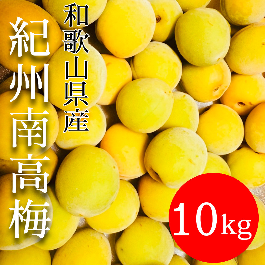 黄色～完熟梅&nbsp;南高梅&nbsp;10kg