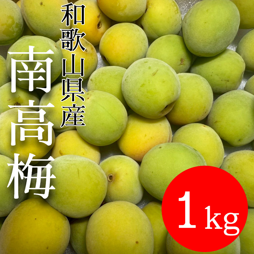 青梅&nbsp;南高梅&nbsp;1kg