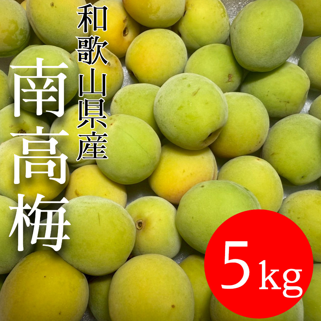 青梅&nbsp;南高梅&nbsp;5kg
