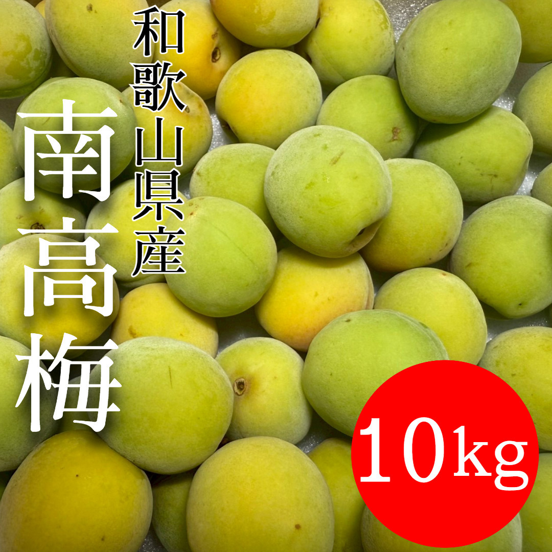 青梅&nbsp;南高梅&nbsp;10kg