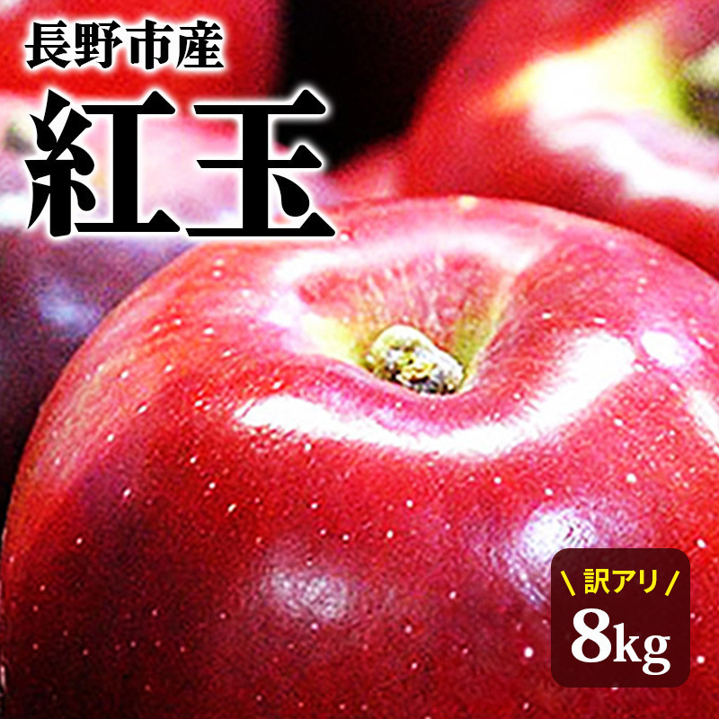 紅玉訳アリ8kg&nbsp;りんご&nbsp;長野市産&nbsp;フルーツ【2026年9月下旬以降の出荷】