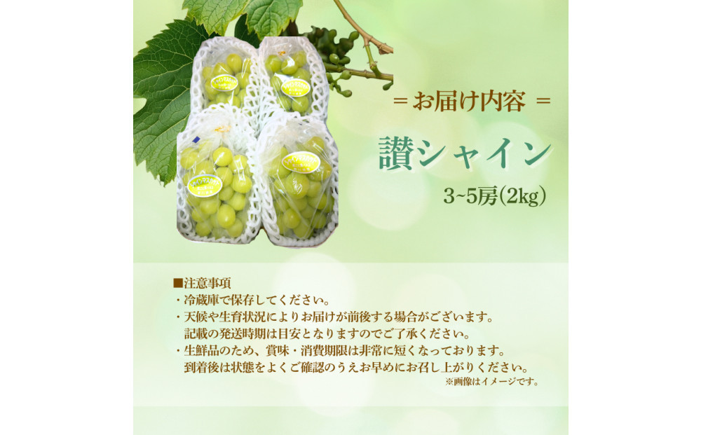香川産&nbsp;シャインマスカット「讃シャイン」３～５房（2kg以上）