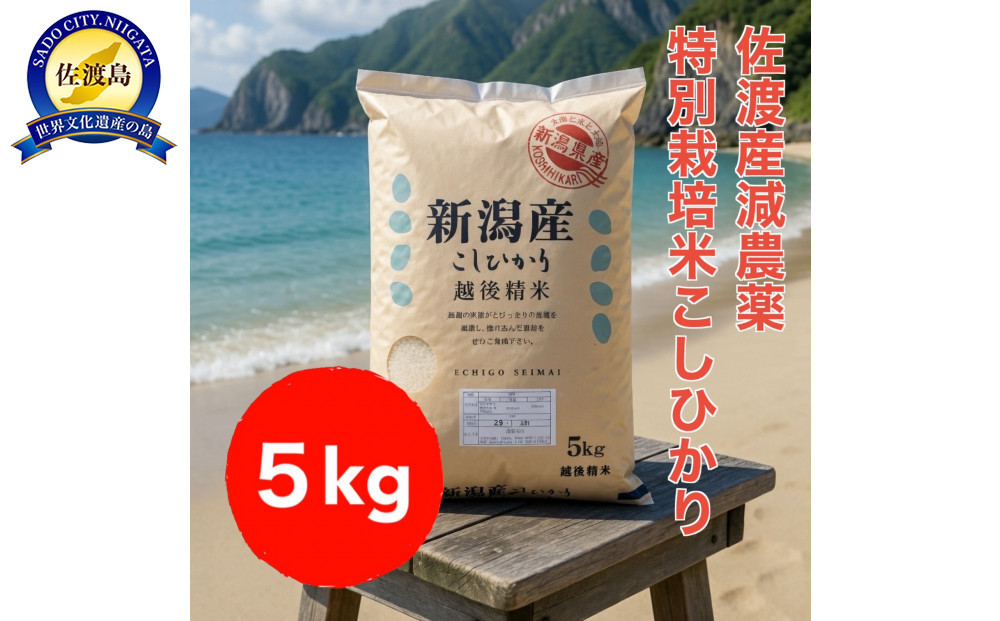 【トキと一緒に育った特別なコシヒカリ】佐渡産&nbsp;減農薬特別栽培米コシヒカリ&nbsp;5kg