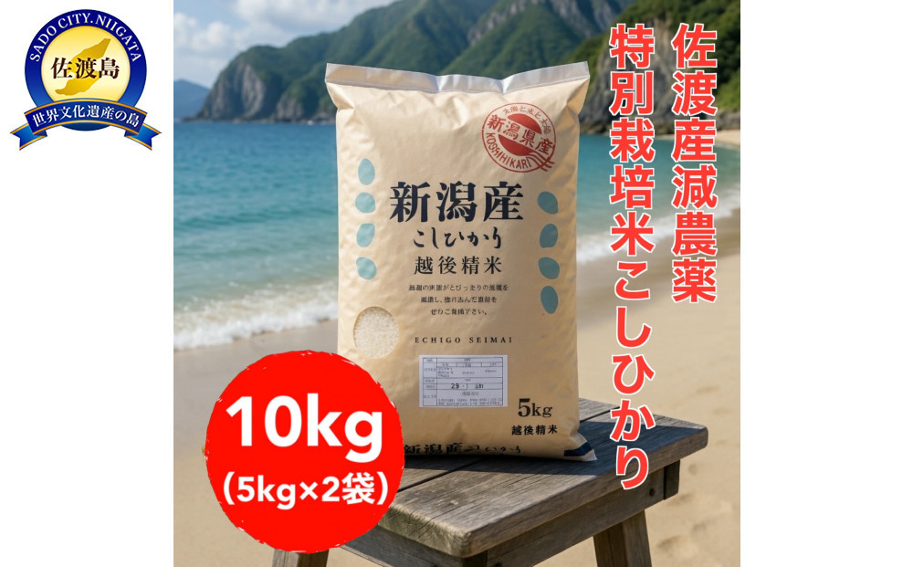 【トキと一緒に育った特別なコシヒカリ】佐渡産&nbsp;減農薬特別栽培米コシヒカリ&nbsp;10kg（5kg×2袋）