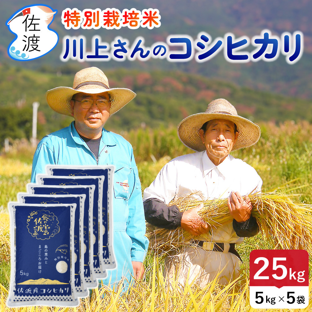 佐渡島産&nbsp;川上さんのコシヒカリ&nbsp;無洗米25kg&nbsp;令和7年産&nbsp;特別栽培米&nbsp;【食の宝島佐渡】