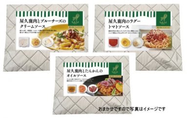 【ギフト用】＜屋久島パスタラボ＞おまかせパスタ３個セット