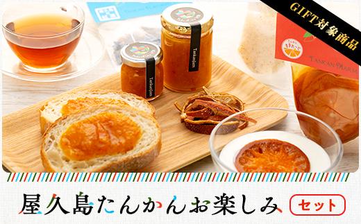 【ギフト用】屋久島たんかんお楽しみセット
