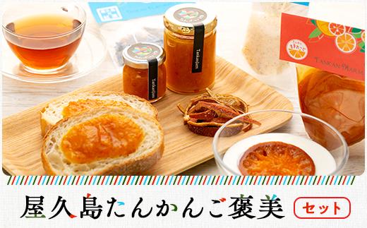 屋久島たんかんご褒美セット