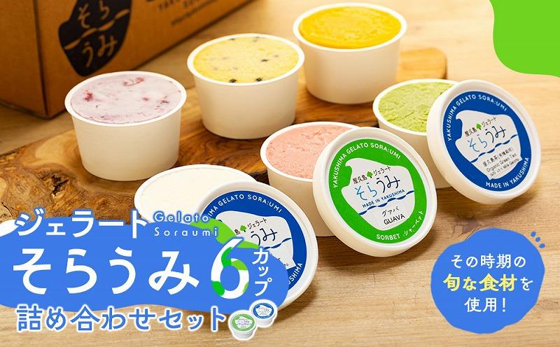 手作り&nbsp;ジェラート&nbsp;6カップ&nbsp;詰め合わせ&nbsp;セット＜屋久島産の新鮮食材を使用＞