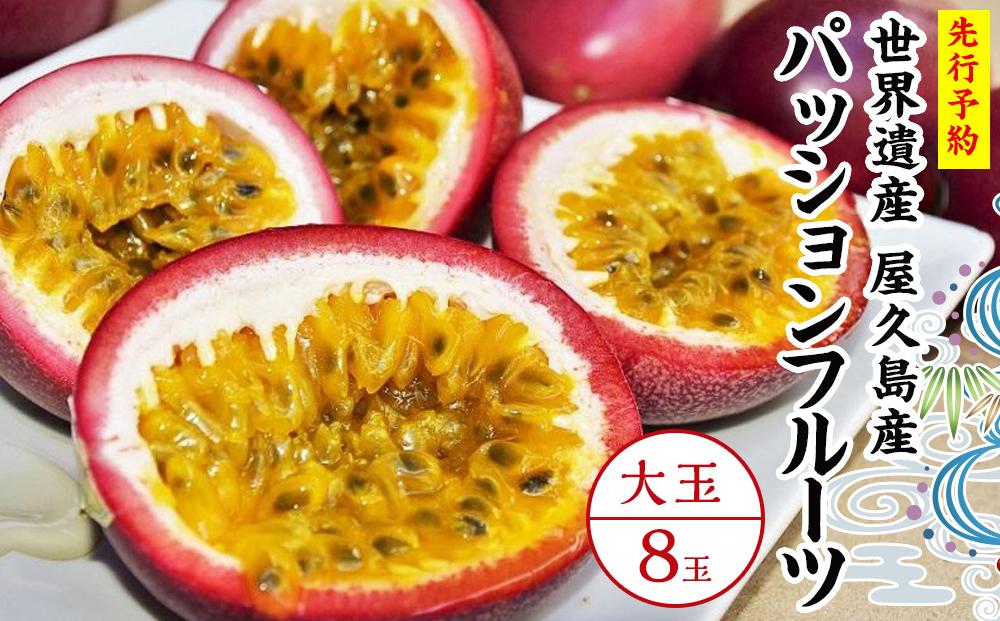 【2026年発送先行受付】絶品パッションフルーツ大玉（8玉）“屋久島の恵み”と“愛情”込めて！