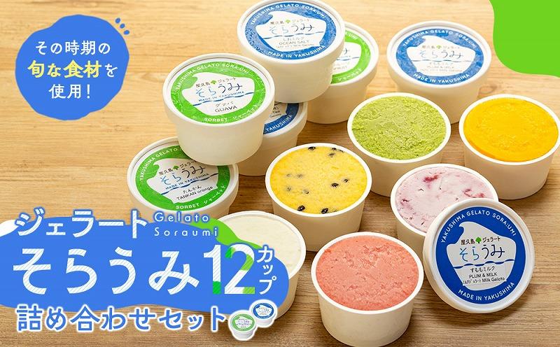 手作り&nbsp;ジェラート&nbsp;12カップ&nbsp;詰め合わせ&nbsp;セット＜屋久島産の新鮮食材を使用＞