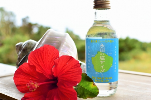 永田の塩サイダー（20本入り）