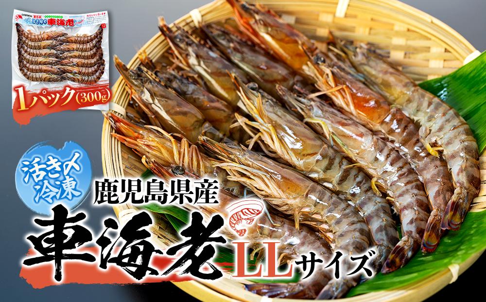 鹿児島県産&nbsp;活き〆冷凍&nbsp;車海老（養殖）LLサイズ&nbsp;300g（10～12尾）1パック&nbsp;セット