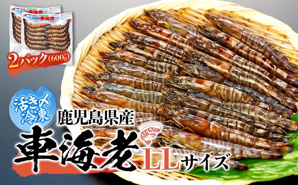 鹿児島県産&nbsp;活き〆冷凍&nbsp;車海老（養殖）LLサイズ&nbsp;計600g（300g&nbsp;10～12尾×2パック）セット