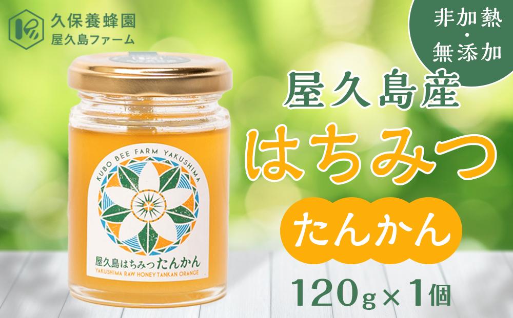 【非加熱・無添加】屋久島産&nbsp;はちみつ（たんかん）120g×1個＜久保養蜂園&nbsp;屋久島ファーム＞