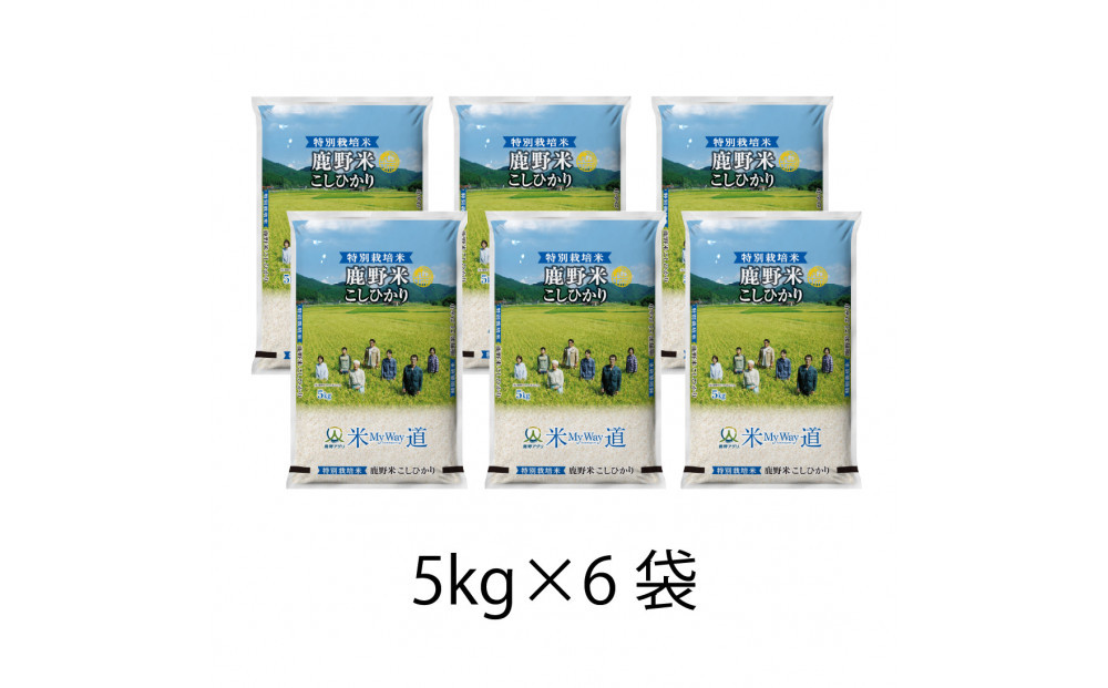 【定期便】特別栽培米鹿野産こしひかり精米30kg（5kg×6袋)