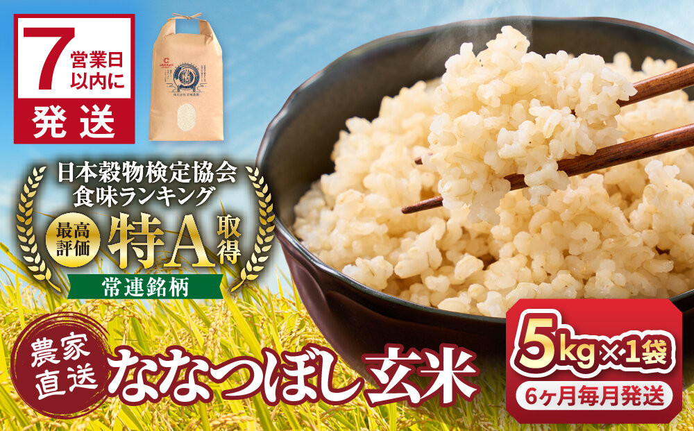 ◆ふるさとチョイス限定◆【6回定期便】令和7年産　ななつぼし&nbsp;玄米&nbsp;5kg×1袋_05851