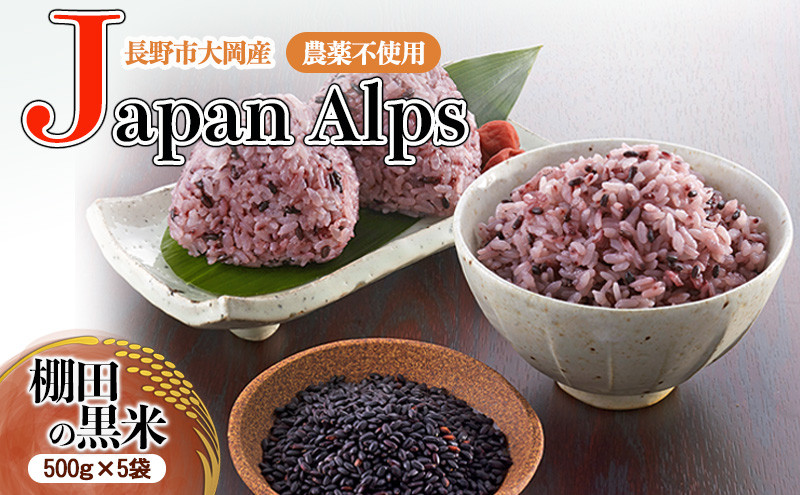 長野市大岡産農薬不使用Japan&nbsp;Alps棚田の紫黒米　500ｇ　5袋