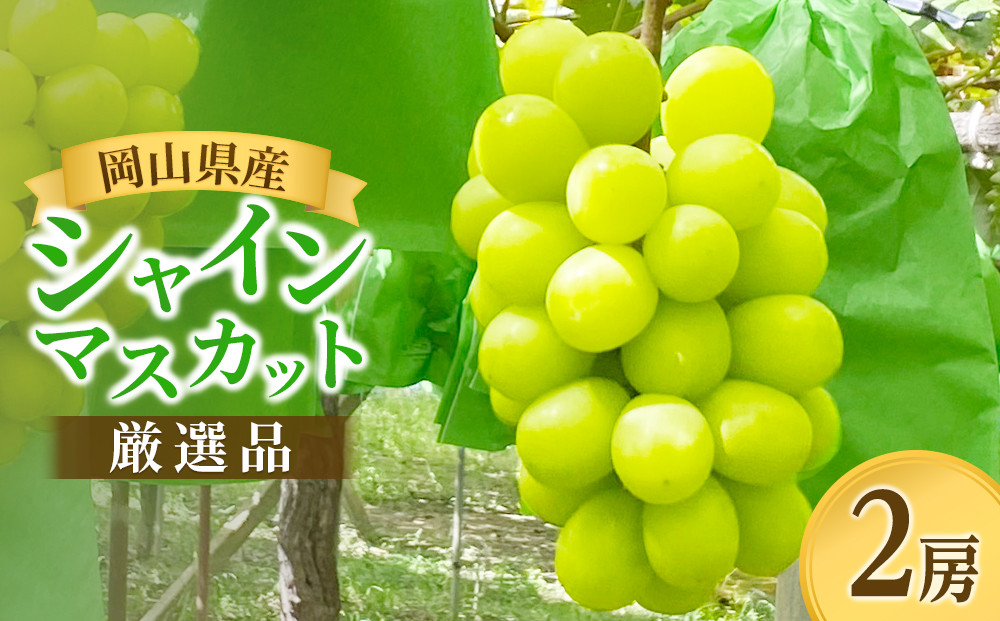 【岡山県産・厳選品２房】シャインマスカット