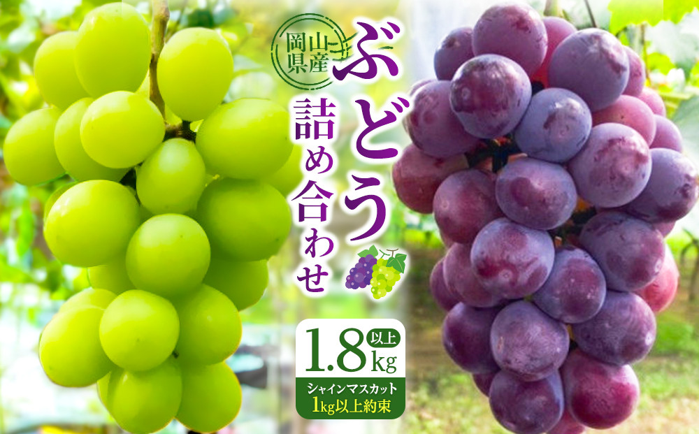 岡山県産ぶどう詰め合わせ【福袋】１.8キロ以上（シャインマスカット1キロ以上お約束します）