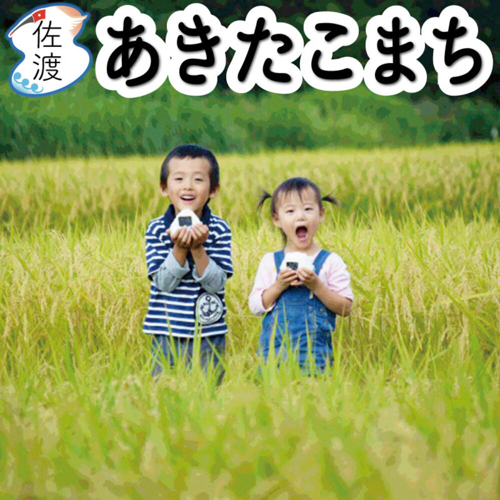 佐渡島産あきたこまち&nbsp;白米10kg&nbsp;(5kg×2袋）&nbsp;令和7年産&nbsp;【食の宝島佐渡】