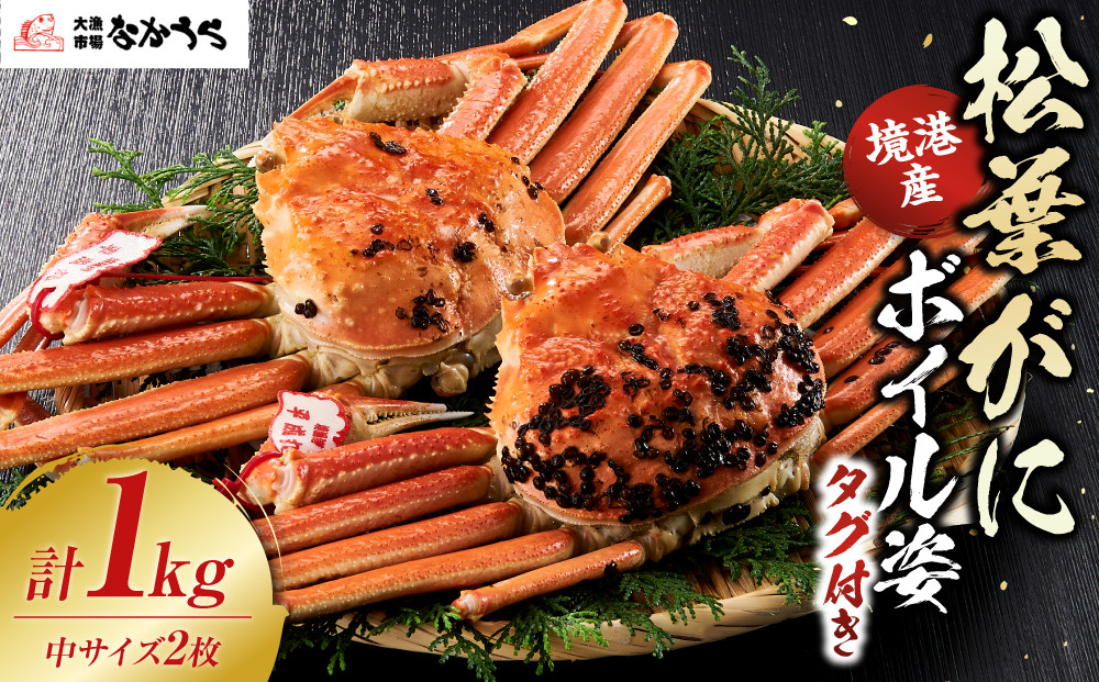 境港産松葉がにボイル姿タグ付き　計1kg（中サイズ2枚）&nbsp;|&nbsp;松葉ガニ&nbsp;タグ付き&nbsp;ブランド蟹&nbsp;ズワイガニ&nbsp;ずわいがに&nbsp;蟹&nbsp;かに&nbsp;カニ&nbsp;ボイル&nbsp;茹で&nbsp;カニ姿&nbsp;丸ごと&nbsp;海鮮&nbsp;魚介&nbsp;魚介類&nbsp;&nbsp;高級&nbsp;カニ味噌&nbsp;冬限定&nbsp;贅沢食材&nbsp;ごちそう&nbsp;お取り寄せ&nbsp;グルメ&nbsp;人気&nbsp;おすすめ&nbsp;国産&nbsp;境港産&nbsp;鳥取県&nbsp;境港市
