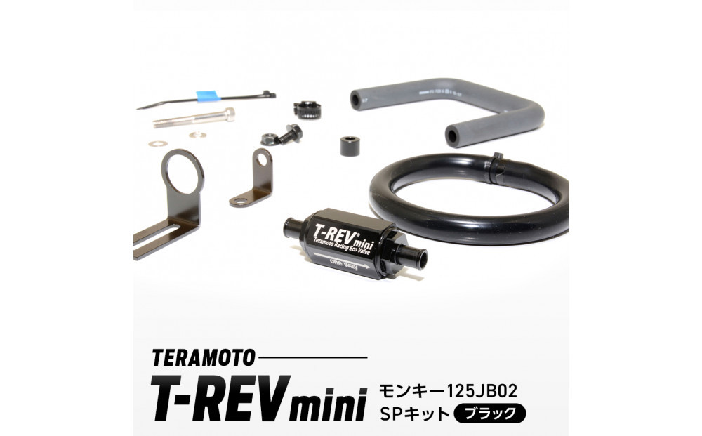 T-REVmini　モンキー125JB02　SPキット　ブラック