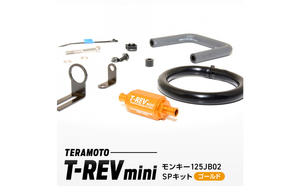 T-REVmini　モンキー125JB02　SPキット　ゴールド