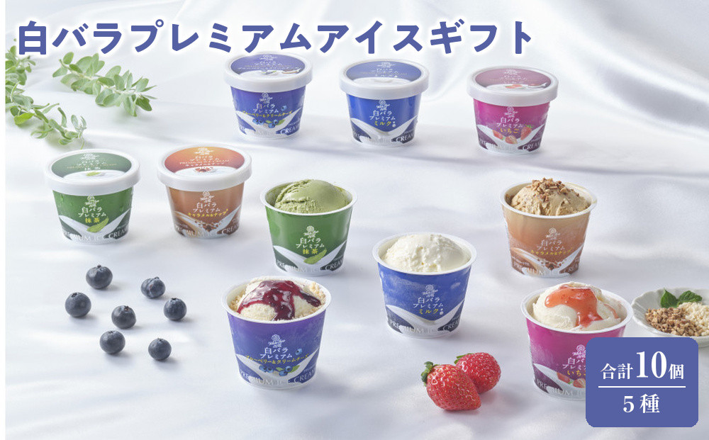 白バラプレミアムアイスギフト10個｜贈答用&nbsp;箱入り&nbsp;菓子&nbsp;アイス&nbsp;ヨーグルト&nbsp;シャーベット&nbsp;スイーツ&nbsp;デザート&nbsp;食品&nbsp;ギフト&nbsp;プレミアム&nbsp;三朝町&nbsp;大山乳業&nbsp;白バラ&nbsp;冷たい&nbsp;甘い&nbsp;夏&nbsp;冬&nbsp;クリーミー&nbsp;滑らか&nbsp;乳製品&nbsp;ふるさと納税&nbsp;返礼品&nbsp;冷凍便&nbsp;箱詰め&nbsp;セット&nbsp;詰め合わせ&nbsp;高品質&nbsp;プレゼント&nbsp;お土産&nbsp;特産品&nbsp;あっさり&nbsp;濃厚