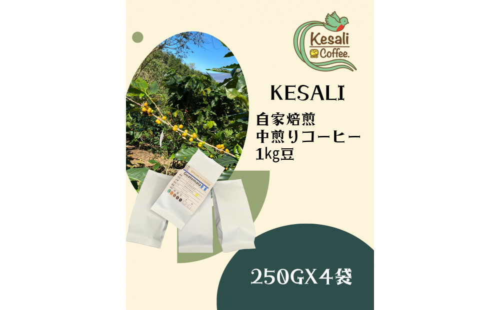 Kesali自家焙煎　中煎りコーヒー1kg豆