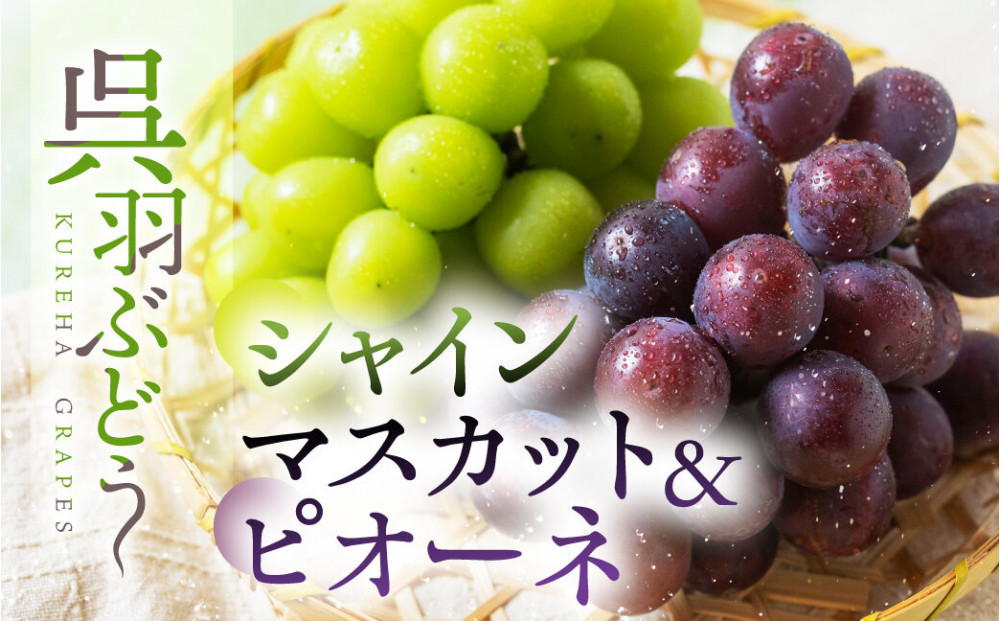 【先行予約】呉羽ぶどう　シャインマスカット＆ピオーネセット（各１房&nbsp;計約1～1.2kg）