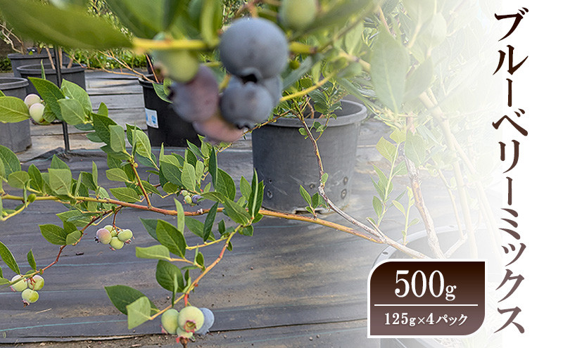 ブルーベリーミックス500g(125g×4パック)