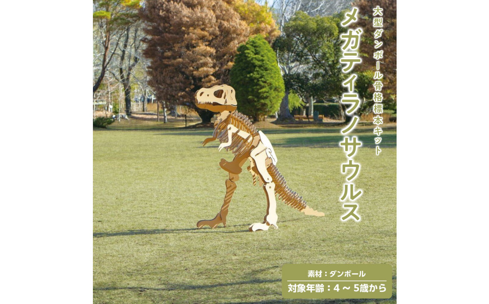 【Qumu】大型ダンボール骨格標本キット　メガティラノサウルス
