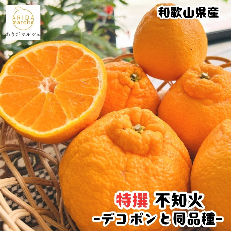 ［先行予約］特選&nbsp;濃厚&nbsp;不知火&nbsp;5kg&nbsp;［MS143］